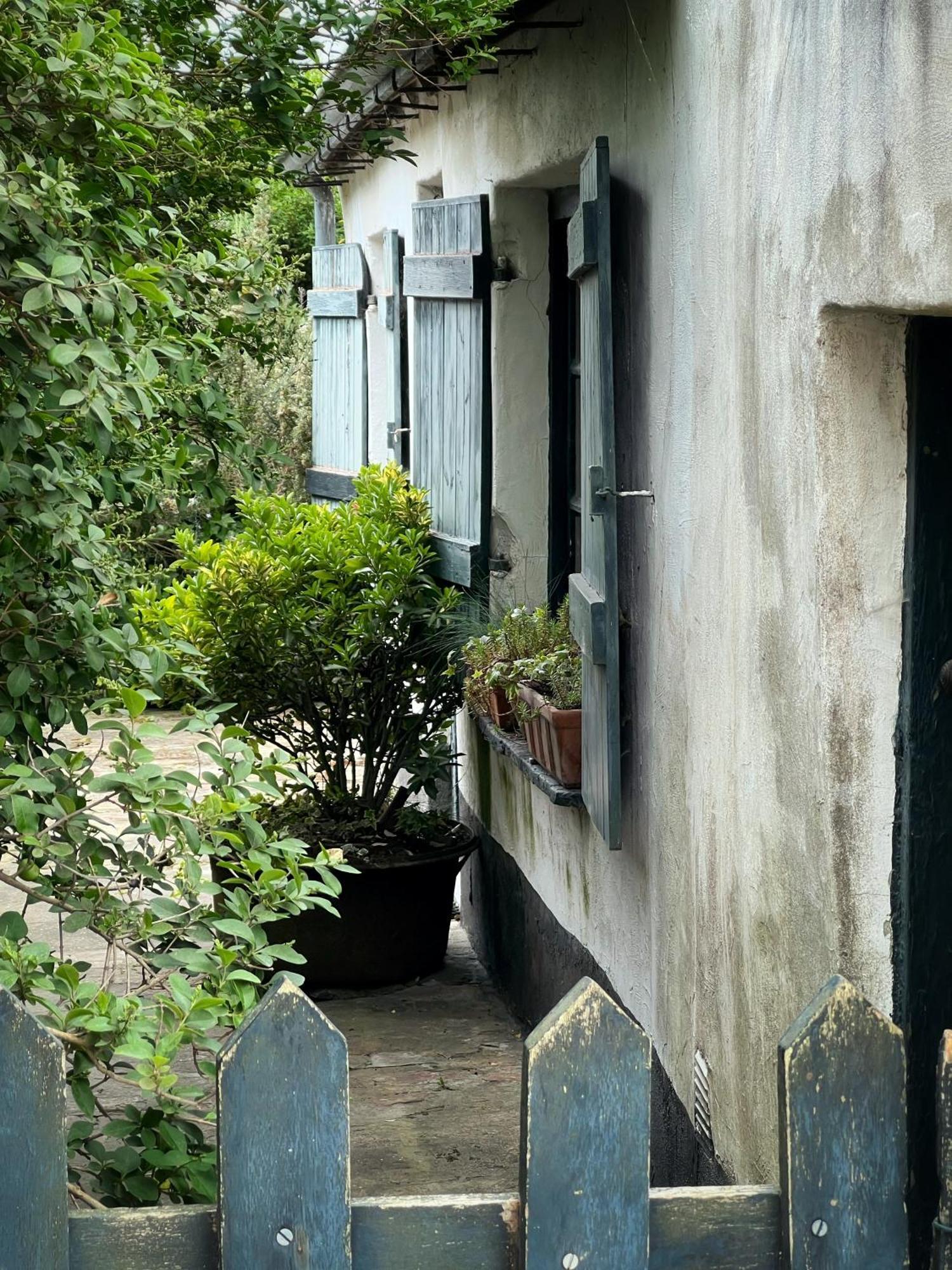 Vakantiestudio Duinhelm, - A Cosy Place By The Sea Appartement *